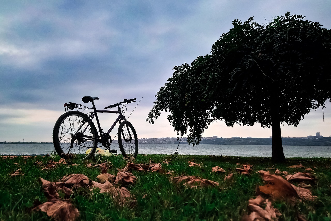 bicycle, travel, nature